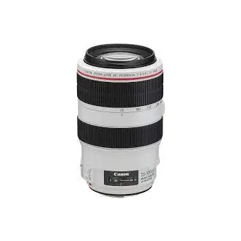 Canon EF 70-300mm F4-5.6 L IS USM Lens